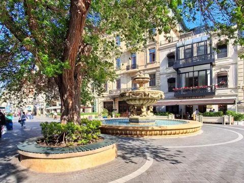 Satılır 4 otaqlı yeni tikili 240 m² — Bakı