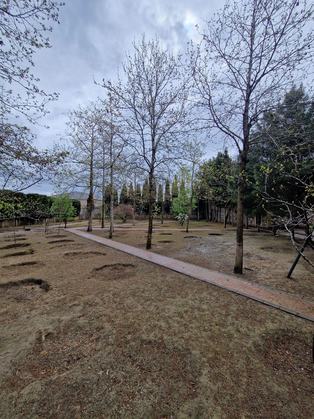 Satılır 4 otaqlı həyət evi/bağ evi 241.6 m² — Ev, villa, Bakı (9)