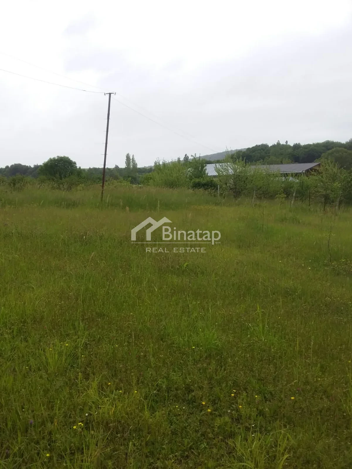 Satılır torpaq 50 sot, İsmayıllı rayonu — Torpaq, Bakı (4)