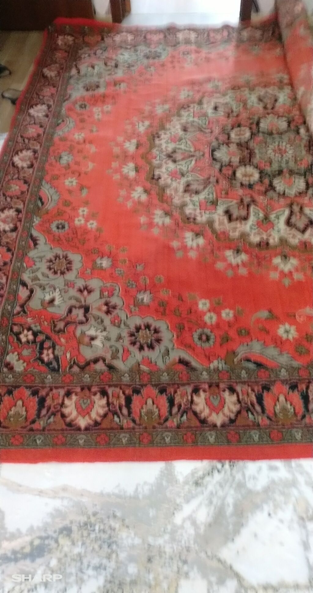 Xalça — Xalılar, Bakı (2)