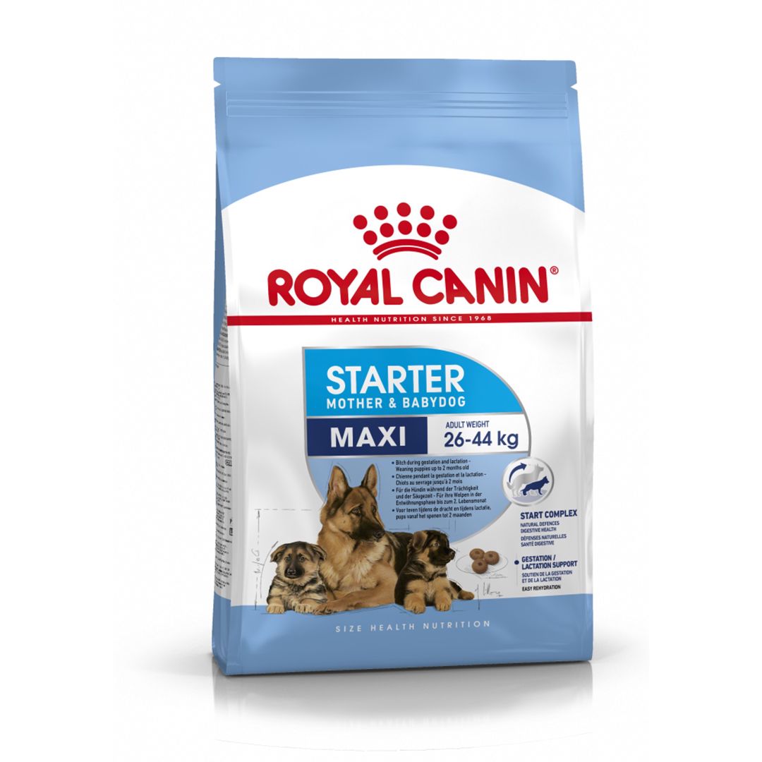 Quru yem Royal Canin Maxi Starter Mother & Babydog, böyük cins hamilə, südverən it və bala itlər üçün, 1 kq — Mallar, Bakı