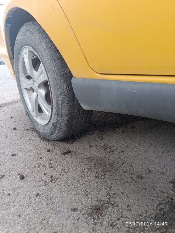 Fiat Albea, 1.6 L, 2006 il, 750 000 km — Avtomobillər, Bakı (6)