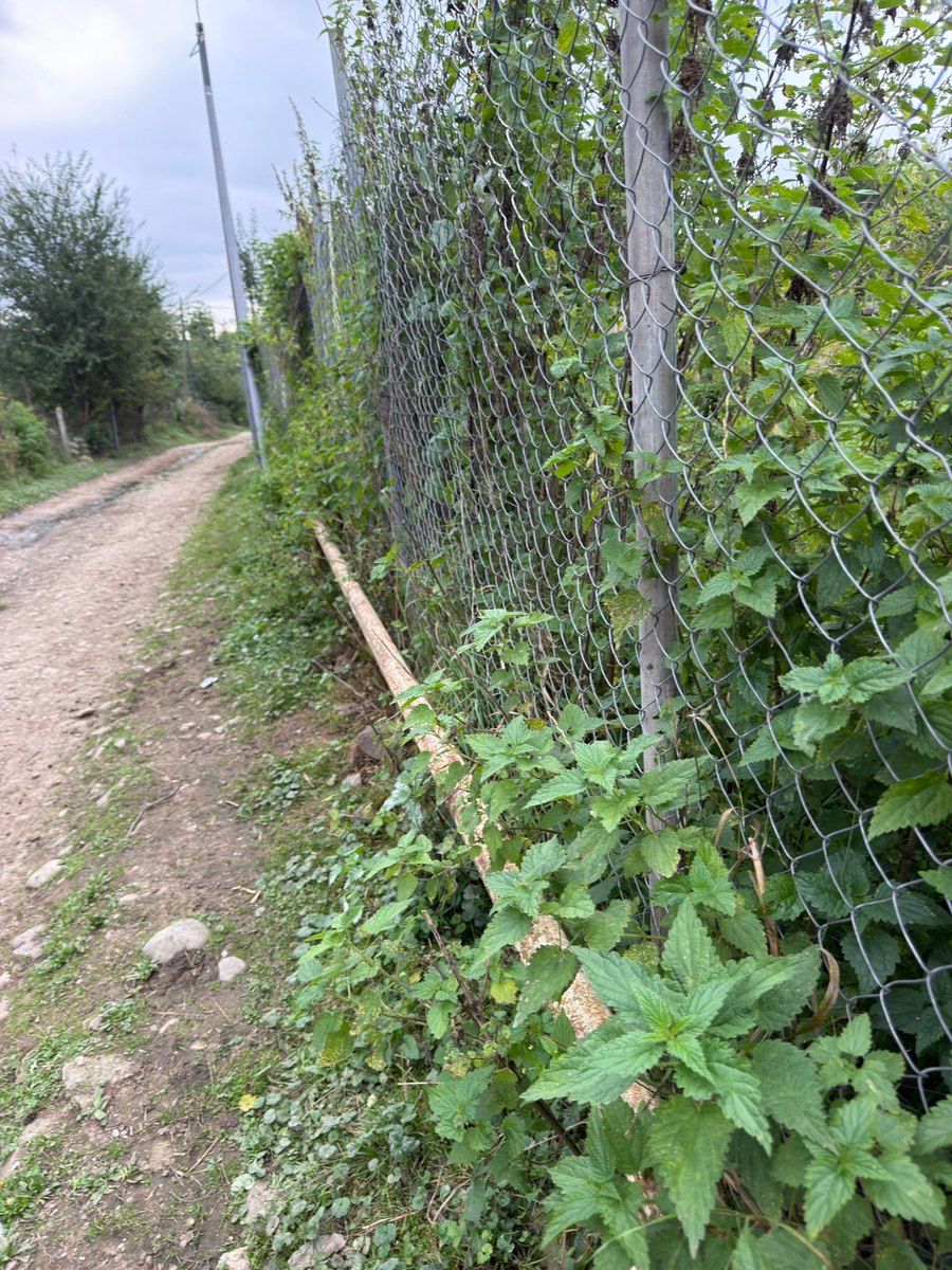 7 sot torpaq sahəsi, Qusar r — Torpaq, Qusar (3)