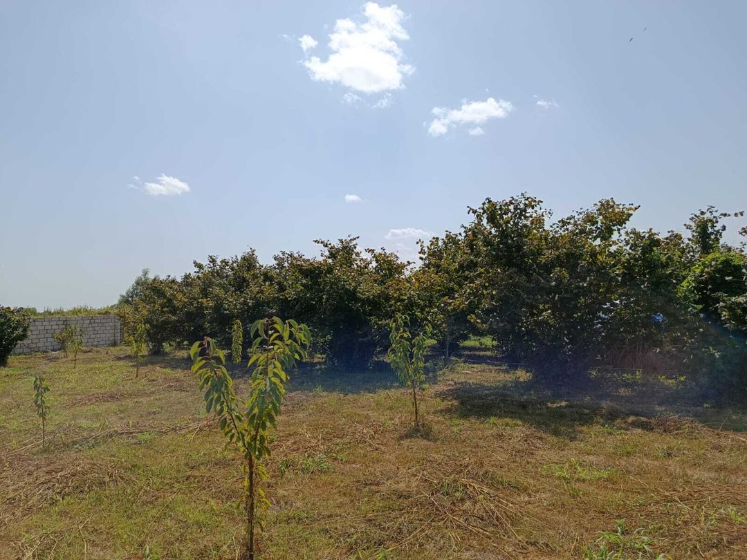 Satılır torpaq 10 sot — Torpaq, Xaçmaz (7)