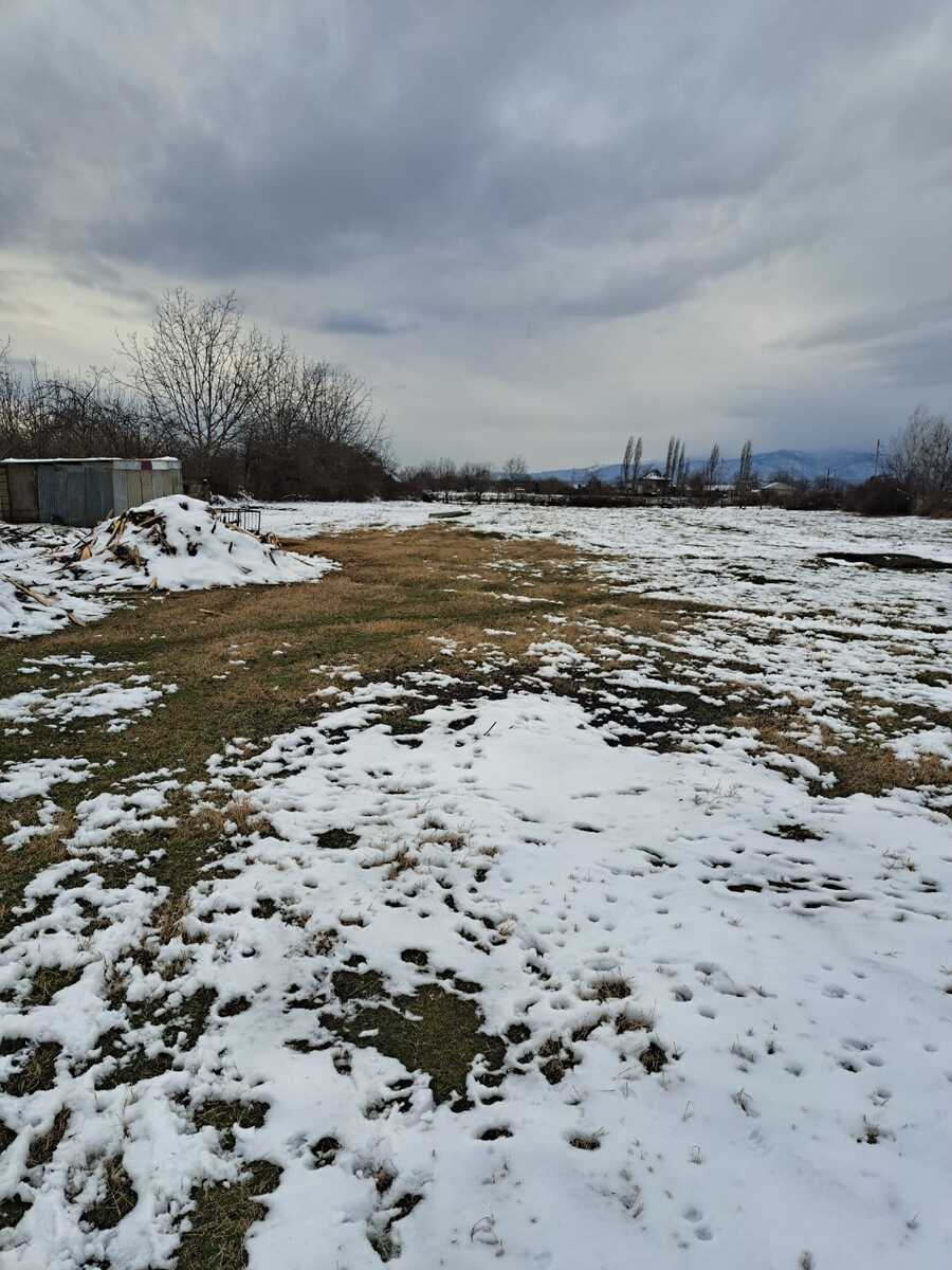Satılır torpaq 71 sot — Torpaq, Qəbələ (5)