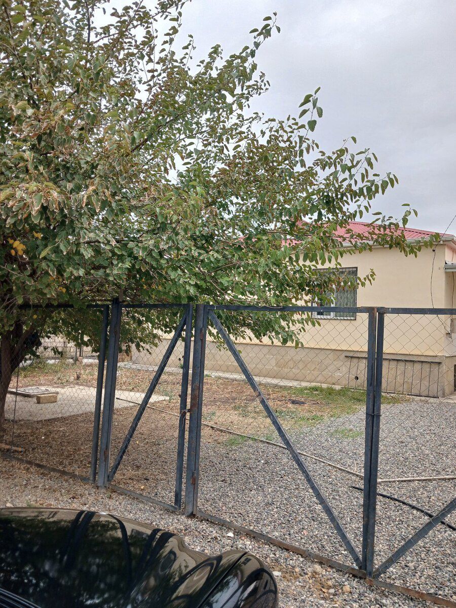 Həyət evi kirayə verilir, Şirvan ş — Ev, villa, Şirvan (2)