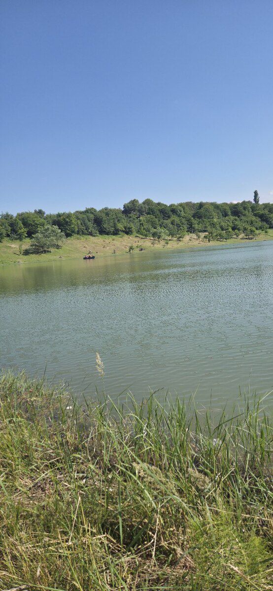5 sot torpaq sahəsi, Qusar r — Torpaq, Qusar (2)