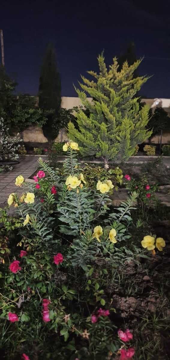 Satılır 5 otaqlı həyət evi/bağ evi 200 m² — Ev, villa, Bakı (10)