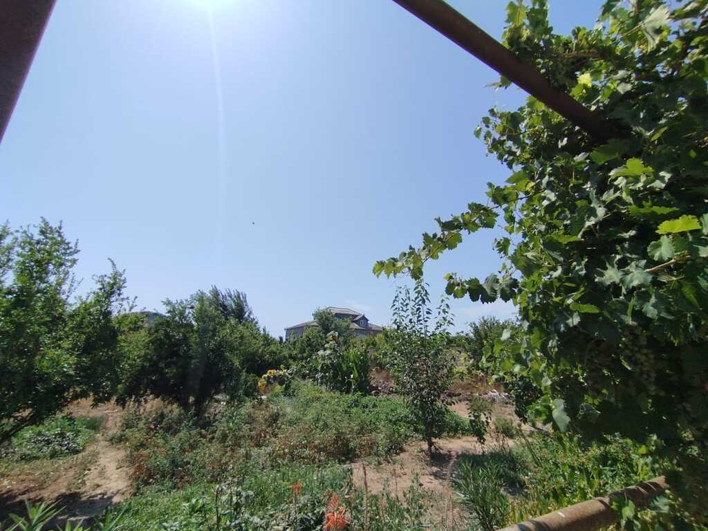 Satılır torpaq 10 sot — Torpaq, Bakı (3)