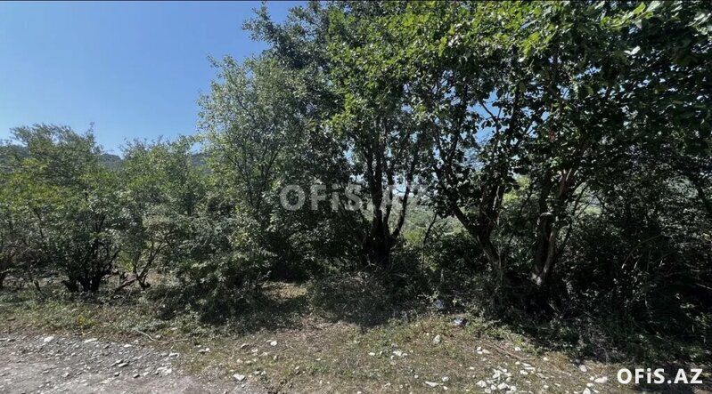 Torpaq Satılır Quba, Tengealtı 10 sot torpaq sahesi satılır, 10 sot — Torpaq, Quba (4)