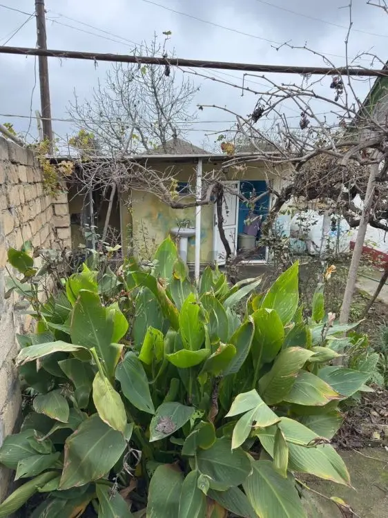 4 otaqlı Həyət evi Satılır, Xudat — Ev, villa, Xudat (5)