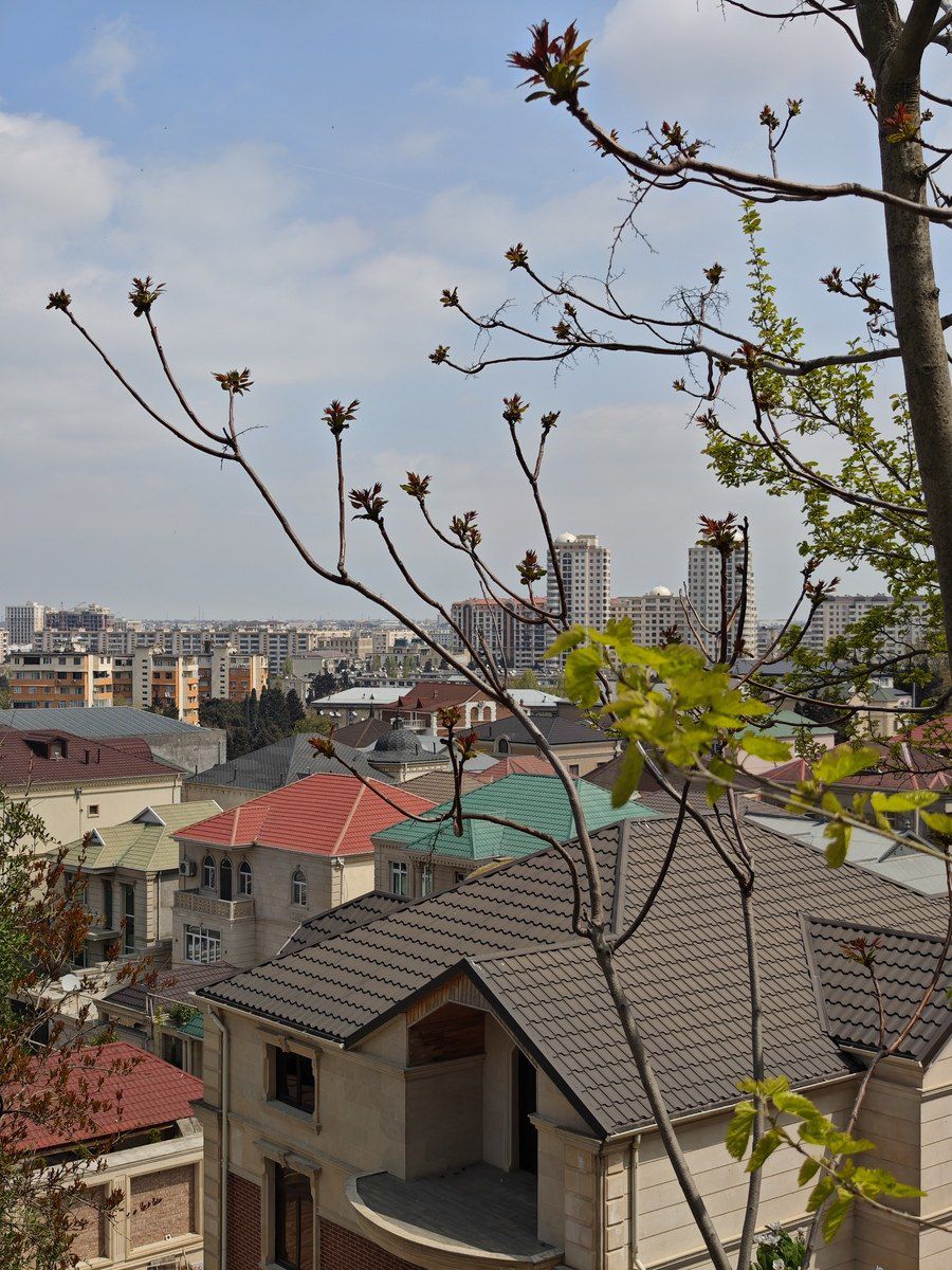 Satılır torpaq 10 sot — Torpaq, Bakı (8)