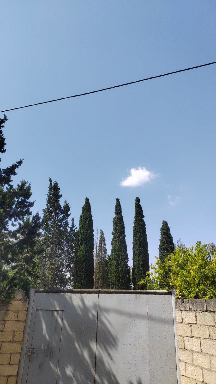 Satılır torpaq 6 sot — Torpaq, Bakı (3)