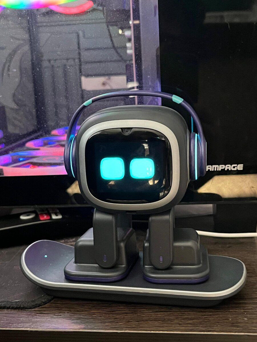Masaüstü robot emopet — Periferik cihazlar, Bakı