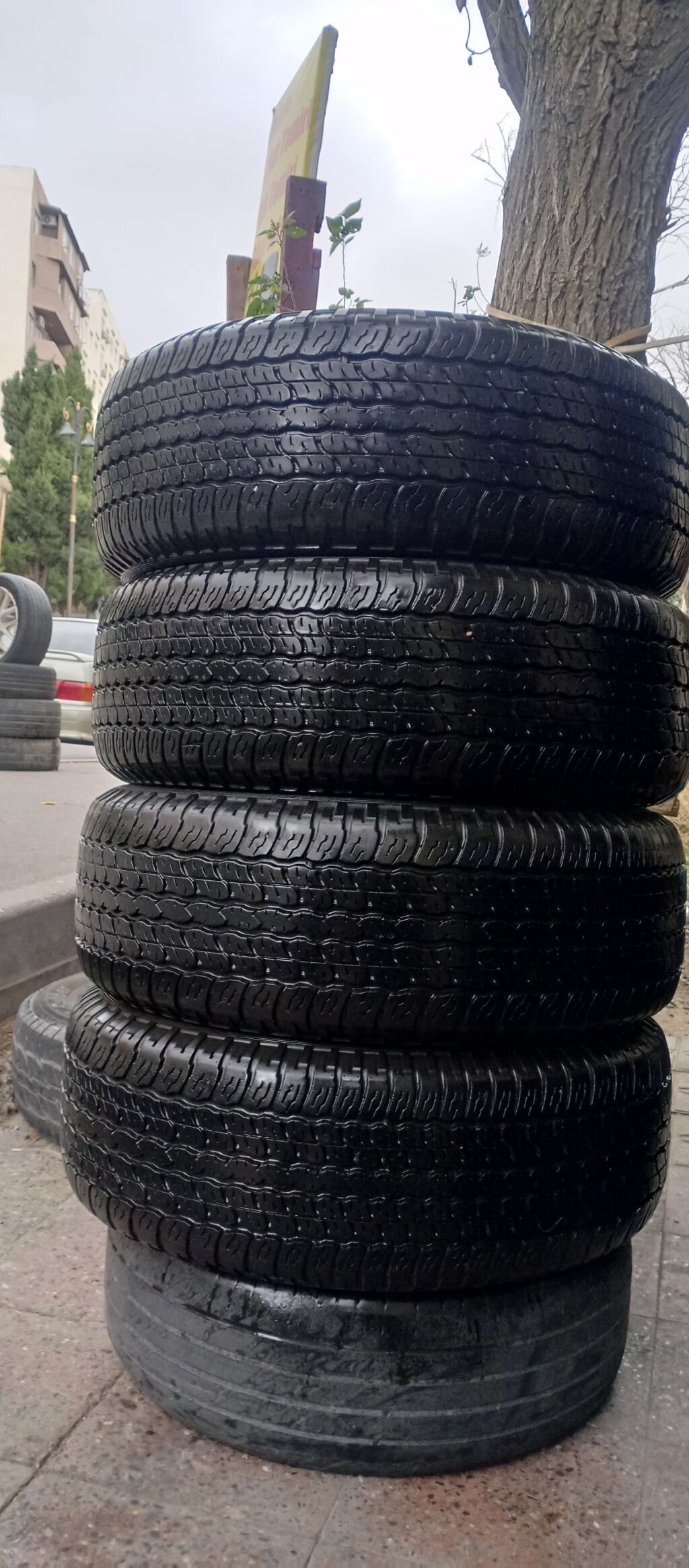 İşlənmiş Şin Toyo 265 / 60 / R 18 — Şinlər, Bakı (3)