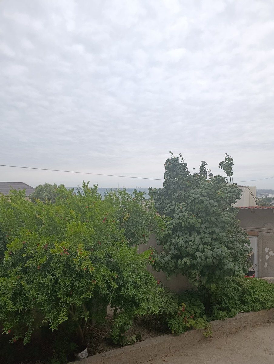 Satılır torpaq 3 sot — Torpaq, Bakı (8)