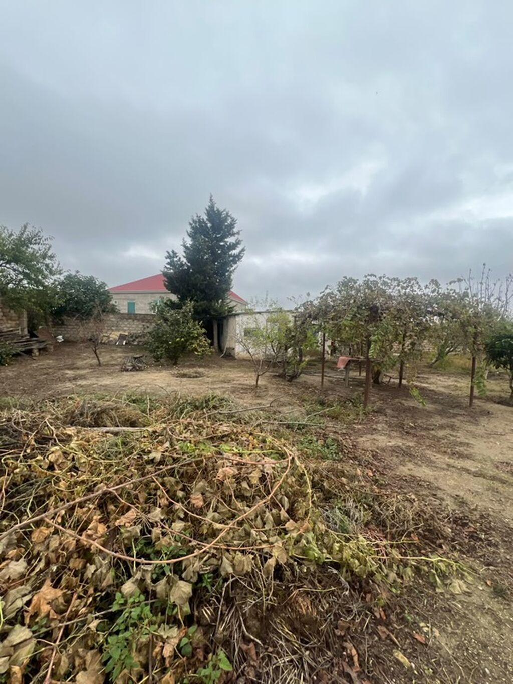 Kənd təsərrüfatı, Mülkiyyətçi — Torpaq, Digah