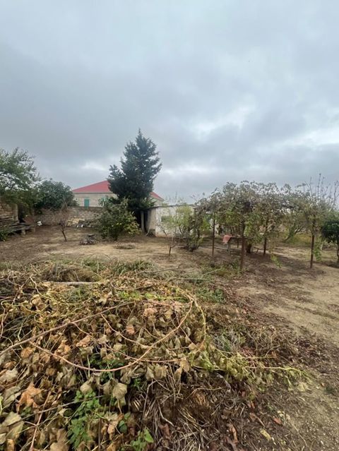Kənd təsərrüfatı, Mülkiyyətçi — Digah