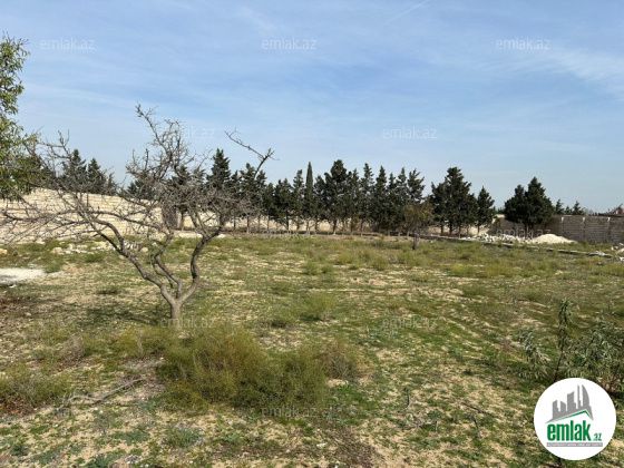 Satılır 24 sot torpaq Şüvəlan — Torpaq (5)