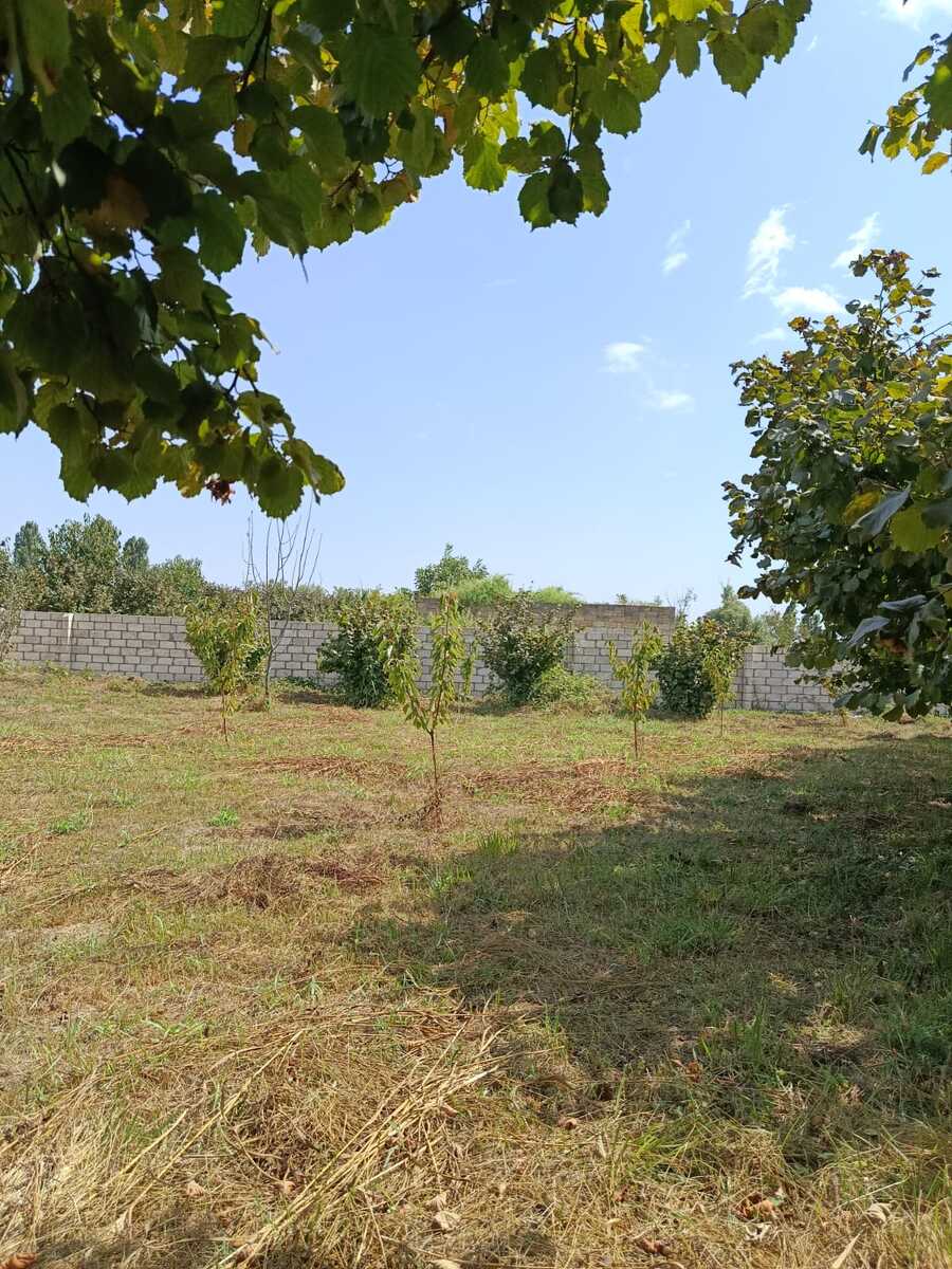 Satılır torpaq 10 sot — Torpaq, Xaçmaz (4)