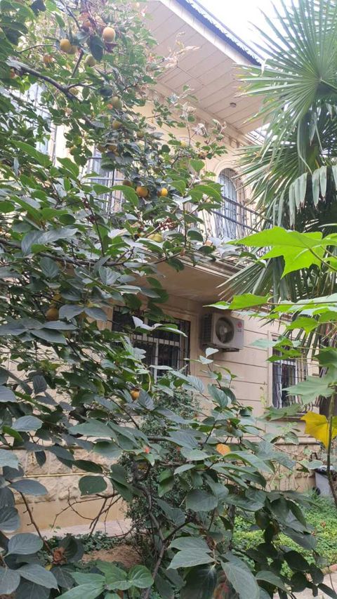 Satılır 6 otaqlı həyət evi/bağ evi 250 m² — Bakı