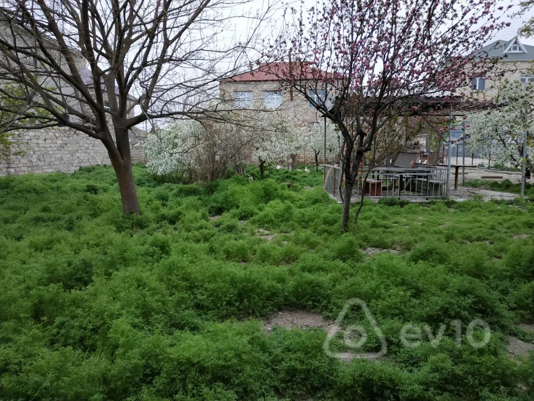 Torpaq sahəsi, 2 sot, Əli İsazadə — Bakı