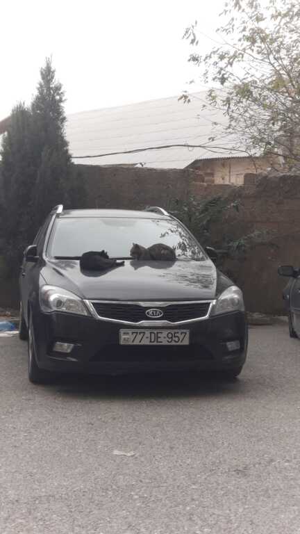 Kia Ceed SW, 1.6 L, 2009 il, 314 163 km — 14 800 ₼ · Bakı · Avtomobillər Kia Ceed SW, 1.6 L, 2009 il, 314 163 km — Bakı