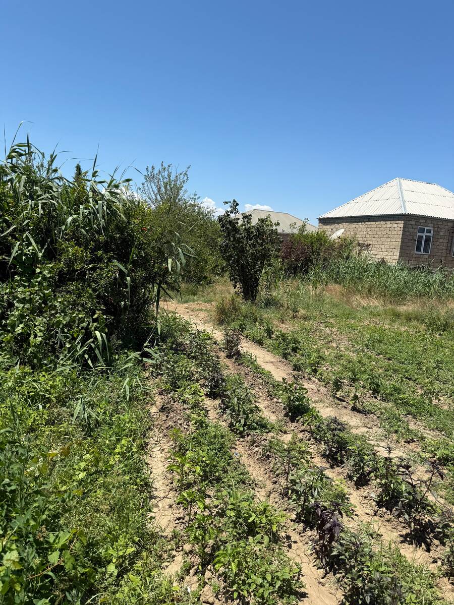 Satılır torpaq 7 sot — Torpaq, Sumqayıt (2)
