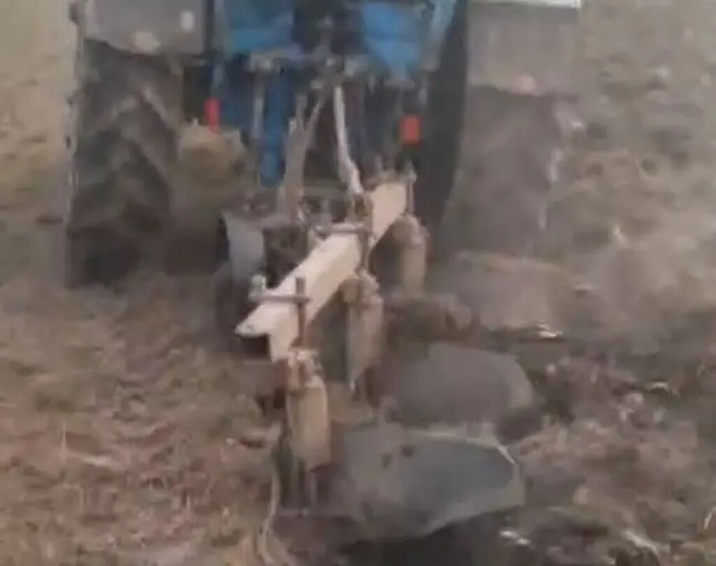 Heç problemi yoxdu — Yardımçı qoşqular, Sabirabad (2)