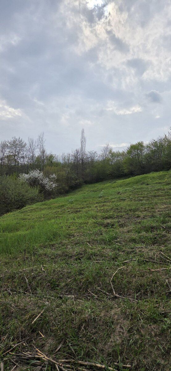17 sot torpaq sahəsi, Qusar r — Torpaq, Qusar (8)
