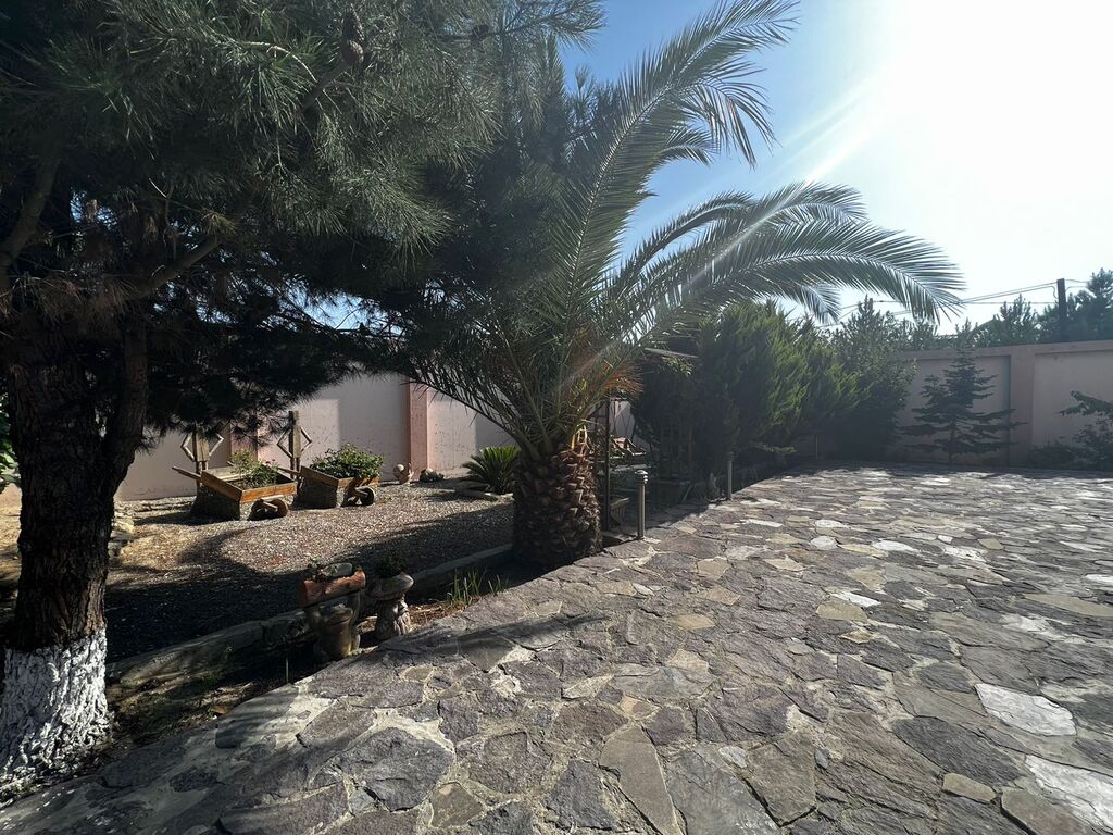 Satılır həyət evi/bağ evi 300 m² — Ev, villa, Bakı (3)