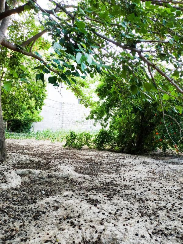 Satılır Torpaq sahəsi, 2 sot, Xəzər rayonu — Torpaq, Bakı (3)
