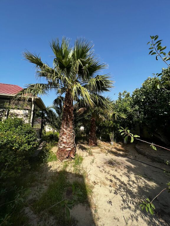 Satılır həyət evi/bağ evi 300 m² — Ev, villa, Bakı (2)
