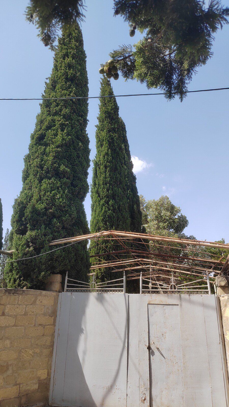 Satılır torpaq 6 sot — Torpaq, Bakı (5)