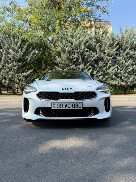Kia Stinger, 2.0 L, 2019 il, 161 000 km 90-VO-080 — Avtomobillər, Mingəçevir (2)