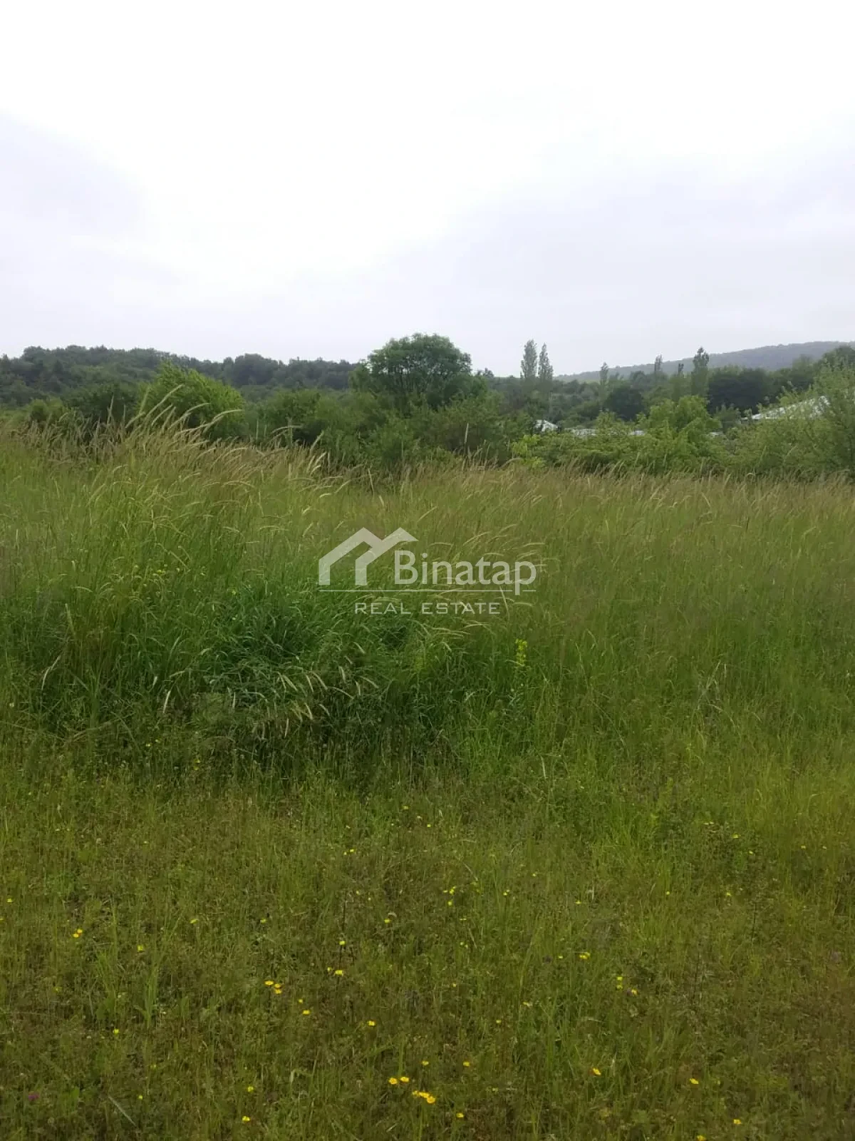 Satılır torpaq 50 sot, İsmayıllı rayonu — Torpaq, Bakı (2)