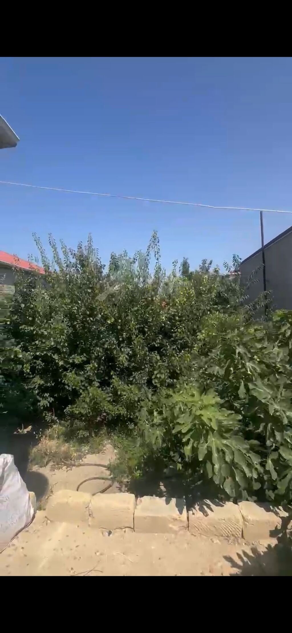 Masazırda 3 sotda paket kupça 6 nömrəli məktəbin yanı masazı — Əmlak, Bakı (5)