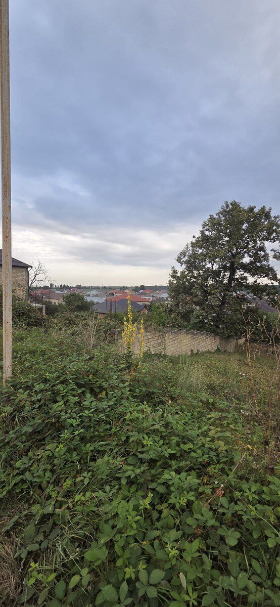 6 sot torpaq sahəsi, Qusar r — Torpaq, Qusar (2)