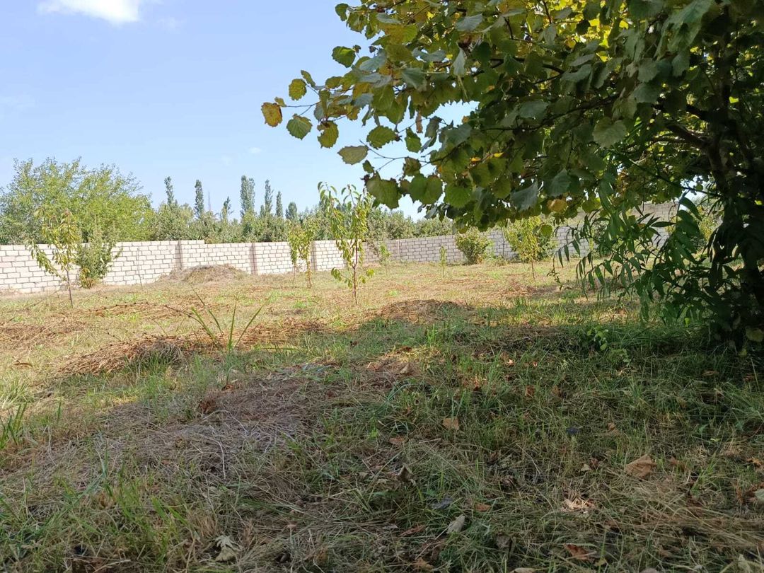 Satılır torpaq 10 sot — Torpaq, Xaçmaz (2)