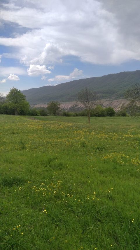 40 sot torpaq sahəsi, Qusar r — Qusar