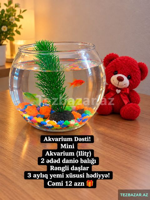 Akvarium dəsti — Bakı