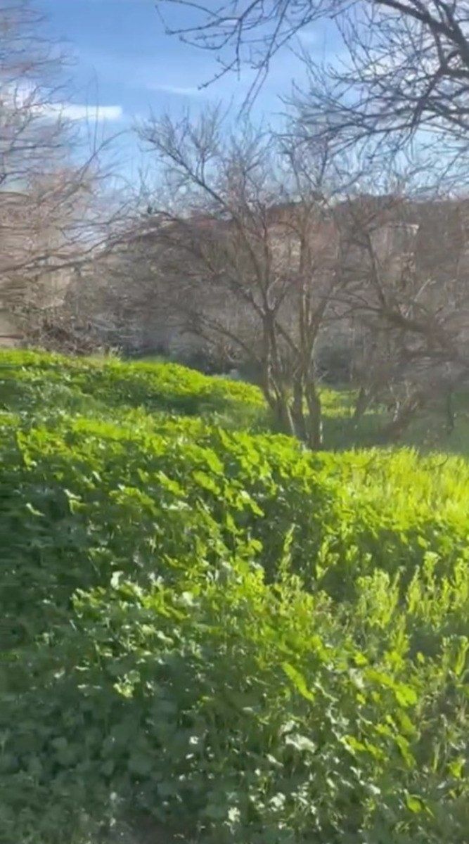 Satılır torpaq 30 sot — Torpaq, Bakı (2)