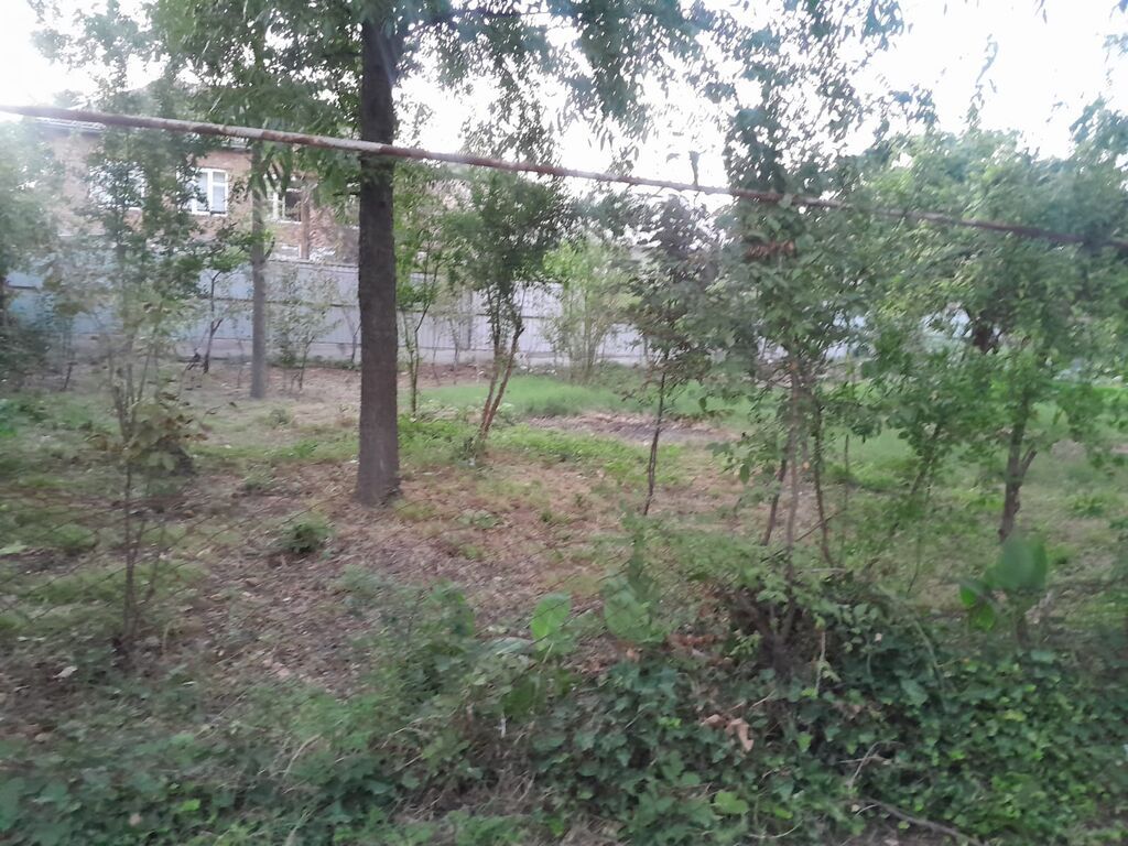 Satılır geniş həyəti var iki lərtəbə köhnə tikili var bağı var əlavə — Ev, villa, Masallı (3)