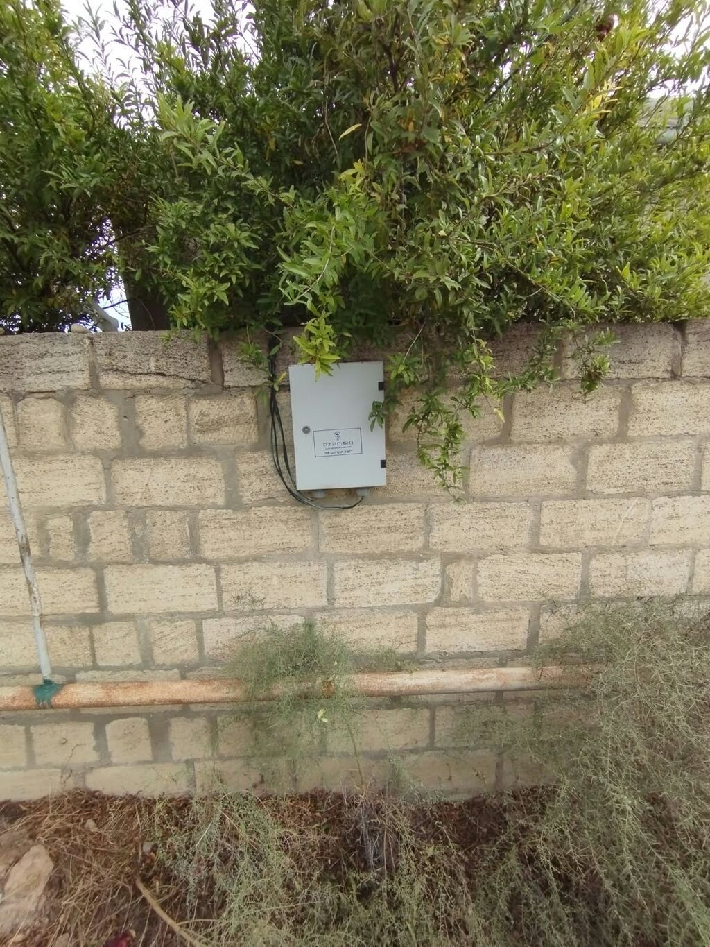 4 sot, Kənd təsərrüfatı, Mülkiyyətçi, Kupça (Çıxarış) — Torpaq, Bakı (7)