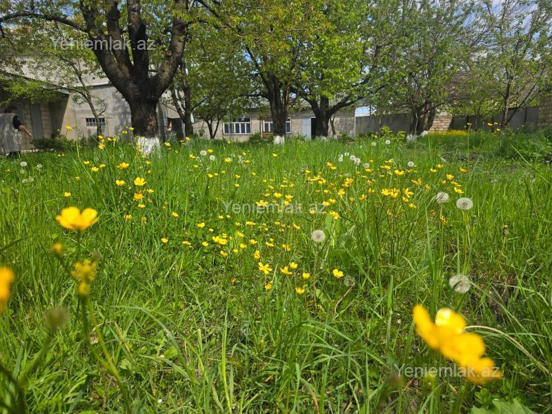 Günlük 2 otaqlı Həyət evi / Villa, 40 m², Quba — Ev, villa, Quba (5)