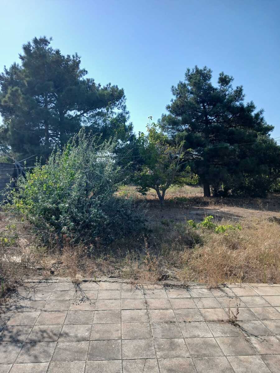 İcarəyə verilir 2 otaqlı həyət evi/bağ evi 2000 m² — Ev, villa, Bakı (6)
