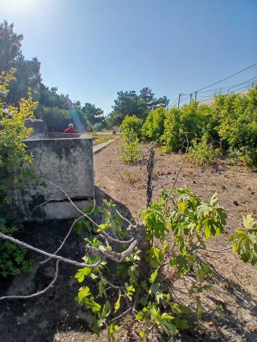 İcarəyə verilir 2 otaqlı həyət evi/bağ evi 2000 m² — Ev, villa, Bakı (8)