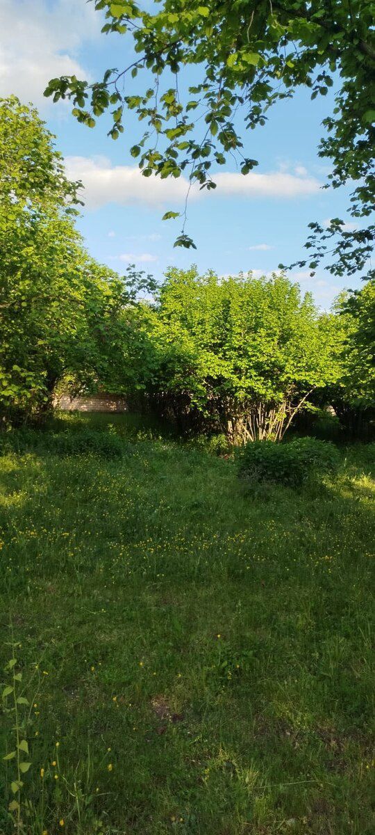7 sot torpaq sahəsi, Xalxal k — Torpaq, Oğuz (2)