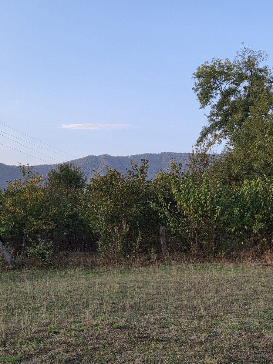 6 sot torpaq sahəsi, Qəbələ ş — Torpaq, Qəbələ (8)