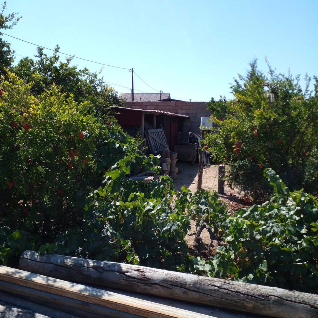 Satılır torpaq 14 sot — Torpaq, Bakı (7)